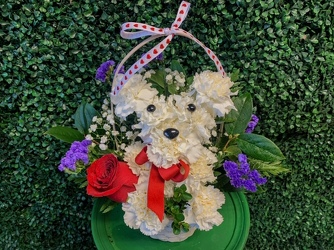 Howlin' For YOU from Susan's Florist in Louisville, KY