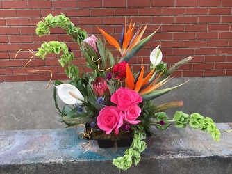 Tropical Mix from Susan's Florist in Louisville, KY