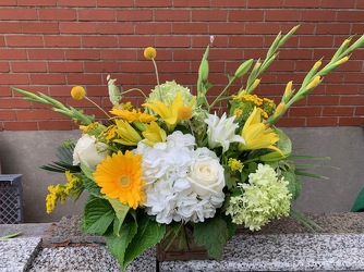Sunny Day's from Susan's Florist in Louisville, KY